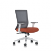 Iron Ergonomic Posture Chair 0 Iron Ergonomic Posture Chair