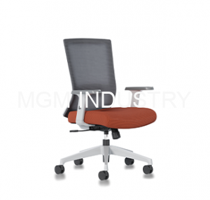 Iron Ergonomic Posture Chair 0 Iron Ergonomic Posture Chair