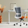 Iron Ergonomic Posture Chair 1 Iron Ergonomic Posture Chair