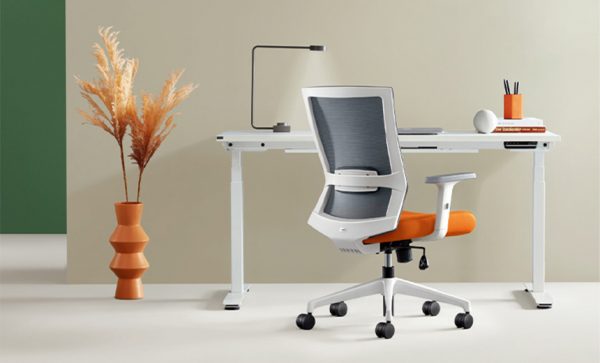 Iron Ergonomic Posture Chair 1 Iron Ergonomic Posture Chair