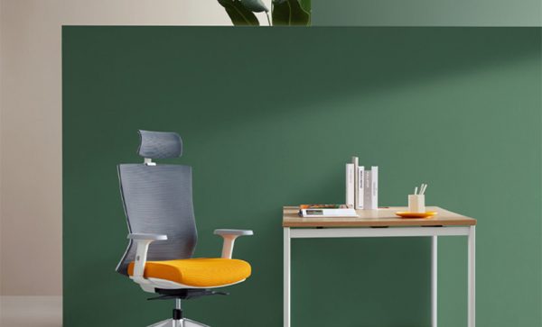 Iron Ergonomic Posture Chair 7 Iron Ergonomic Posture Chair